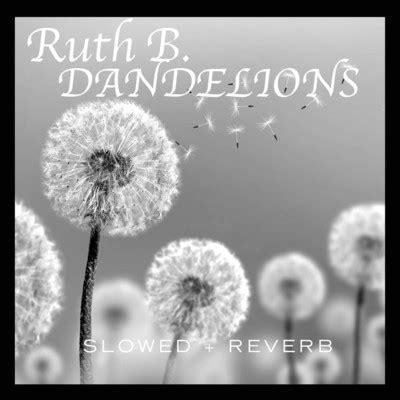 dandelion mp3 download|dandelions free mp3 download.